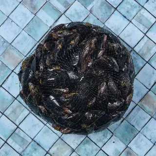 Cozza 1 kg