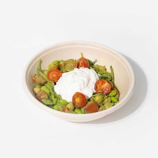 Plant-Based Protein Bowl