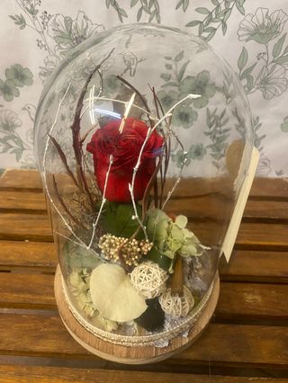 Cúpula con rosa eterna. Tamaño G