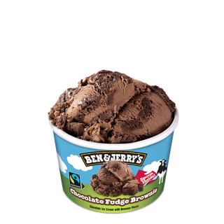 Ben & Jerry'S Chocolate Fudge 100Ml