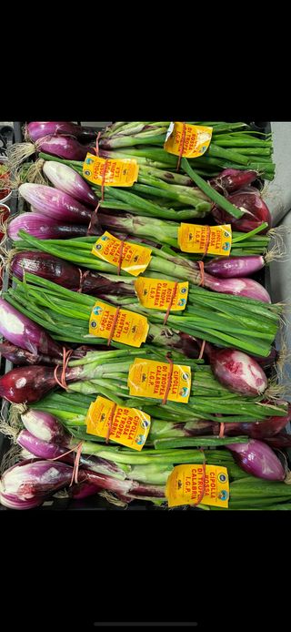 Cipolle rosse di Tropea IGP al mazzo