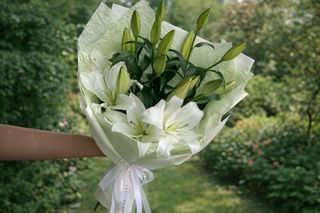 Lilies
