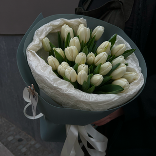 25 тюльпанів Antarctica