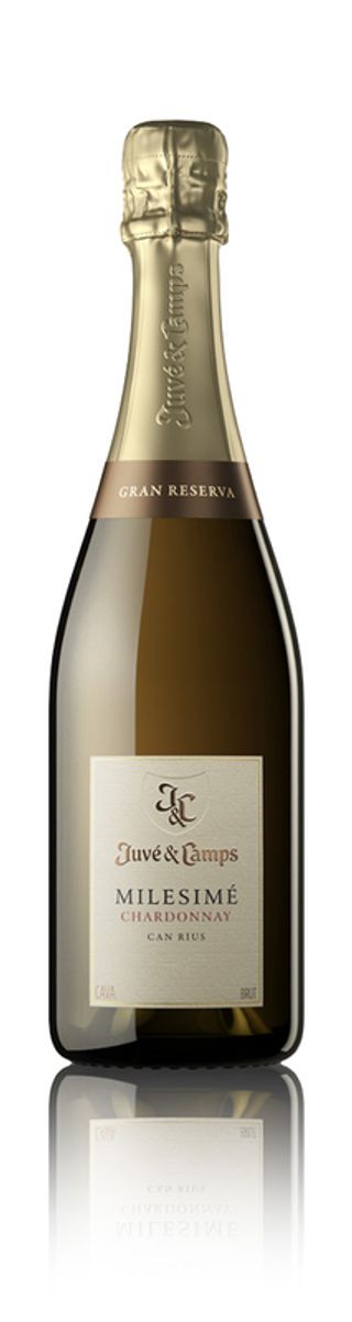 Juve &Camps Millesime 