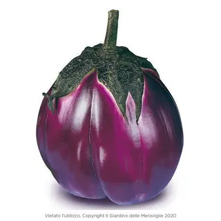 Melanzana Violetta  al pezzo