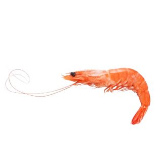 Gambas Rojas (1 Kg.)