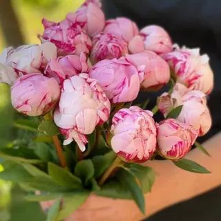 bouquet di peonia I love you