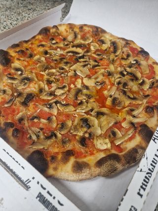 Funghi rossa