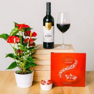  Planta de Anturium + vino + chocolates