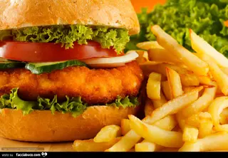 Menu panino cotoletta