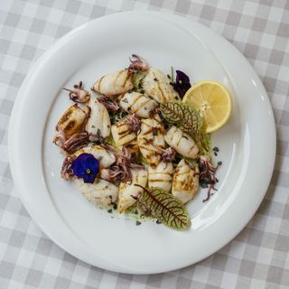 Grigliatta di Calamari