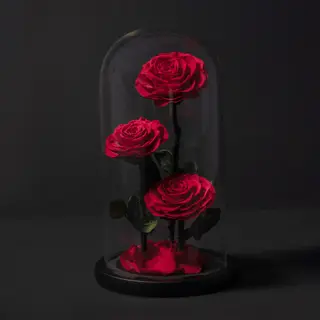 Rosas rojas eternas en cupula de cristal (3 rosas) 30 cm alto 