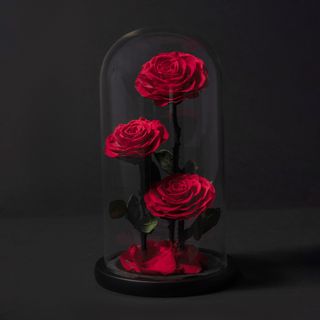 Rosas rojas eternas en cupula de cristal (3 rosas) 30 cm alto 