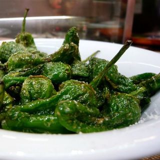 pimiento padron