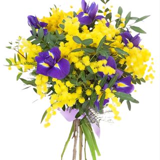 Mazzo iris di montagna e mimosa 