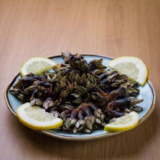 Percebes