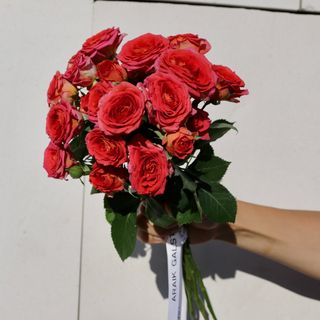 Ramo de 5 Rosas Chimo