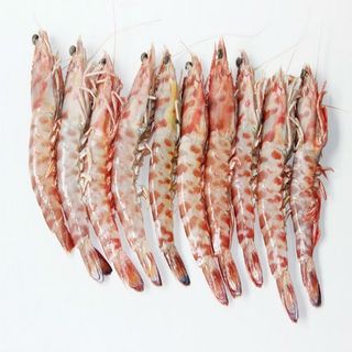Langostino Tigre Crudo 1 Kg.