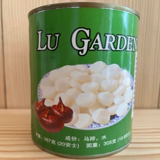 Castaña De Agua 567g