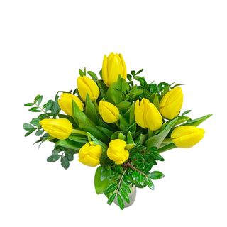10. Tulipanes amarillos.