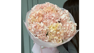 Bukiet 5 jasnoróżowych hortensji