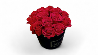 15 crvenih ruža BOX