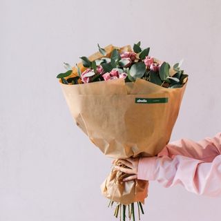 ამსტერდამი ( purple ) 