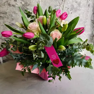 Amanecer Rosa