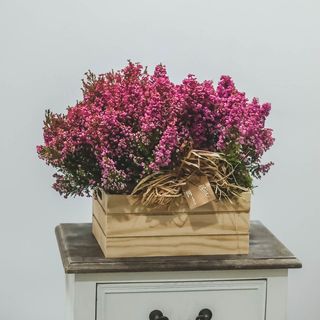 Caja brezos