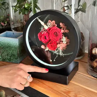Lampe LED avec Roses Éternelles Rouge et Boîtier Noir