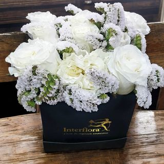 Flower box rose Bianche