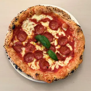 Salamino
