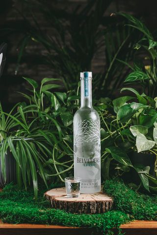 BELVEDERE   (50 мл.)