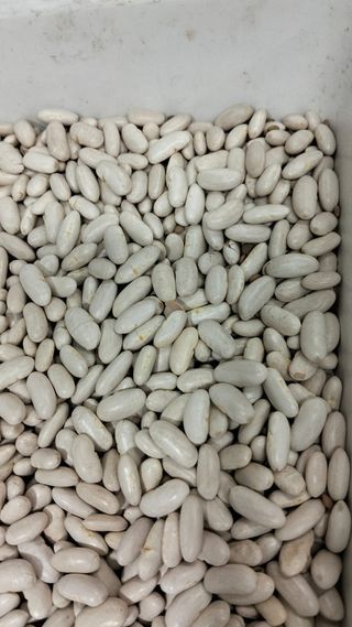 Fagioli cannellini 500 g