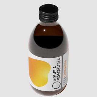 Kombucha Gengibre