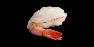 Amaebi