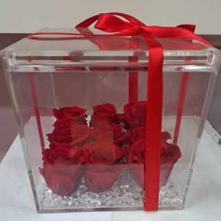 Cubo con 9 roselline  rosse stabilizzate