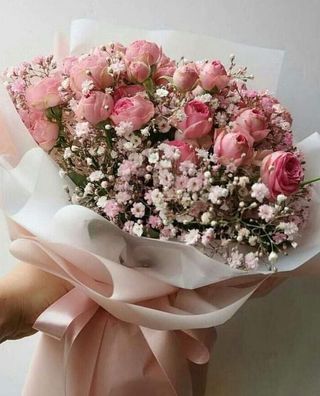  ჯუჯა ვარდი გიფსოფილა