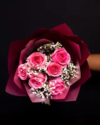 SOFT LOVE
