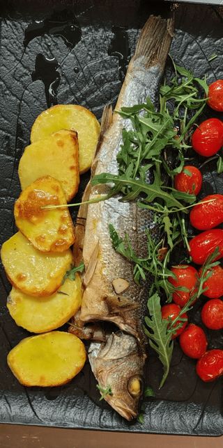 Labraks (okoń morski)