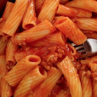 Bolognesa