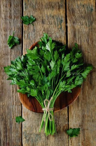 VERDEATA-PATRUNJEL (leg)