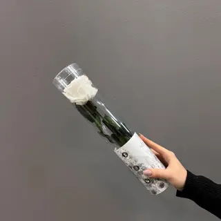 Una rosa corta ( blanca ) preservada  