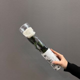 Una rosa corta ( blanca ) preservada  