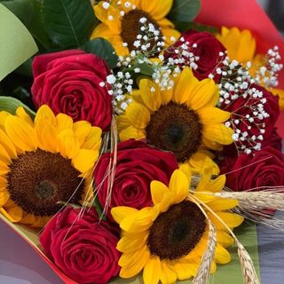 6 Rose rosse con girasoli