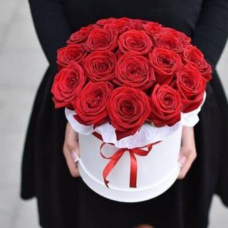 Czerwona róża w białym boxe