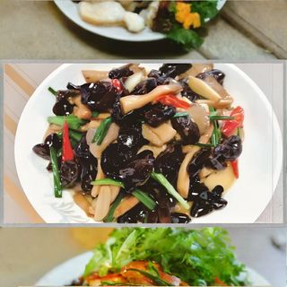 Ciuperci cu urechi de lemn