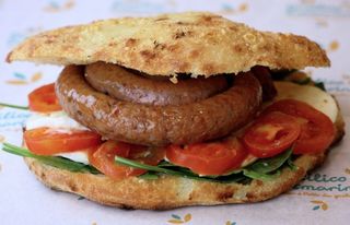 Medaglione zampina 2