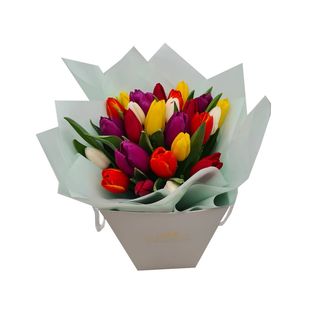 Punga mica cu 25 lalele mix