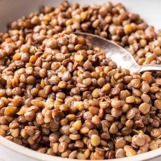 Lentils Plain
